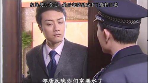 家暴男打老婆爆料娱乐圈,揭秘家暴男与受害妻子背后的故事  第3张