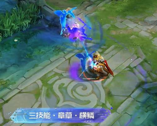 皮肤技能爆料怎么用视频,视频深度解析与实战应用指南  第1张